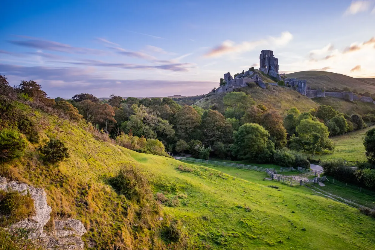 dorset-city-council-2