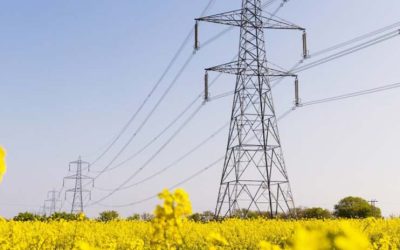 ‘Omnicrisis’ A winter of blackouts? UK businesses need to prepare for electricity shortages in deepest, darkest winter